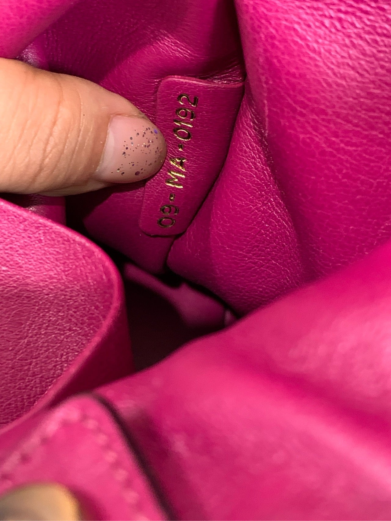 Preloved Dior VIP bag