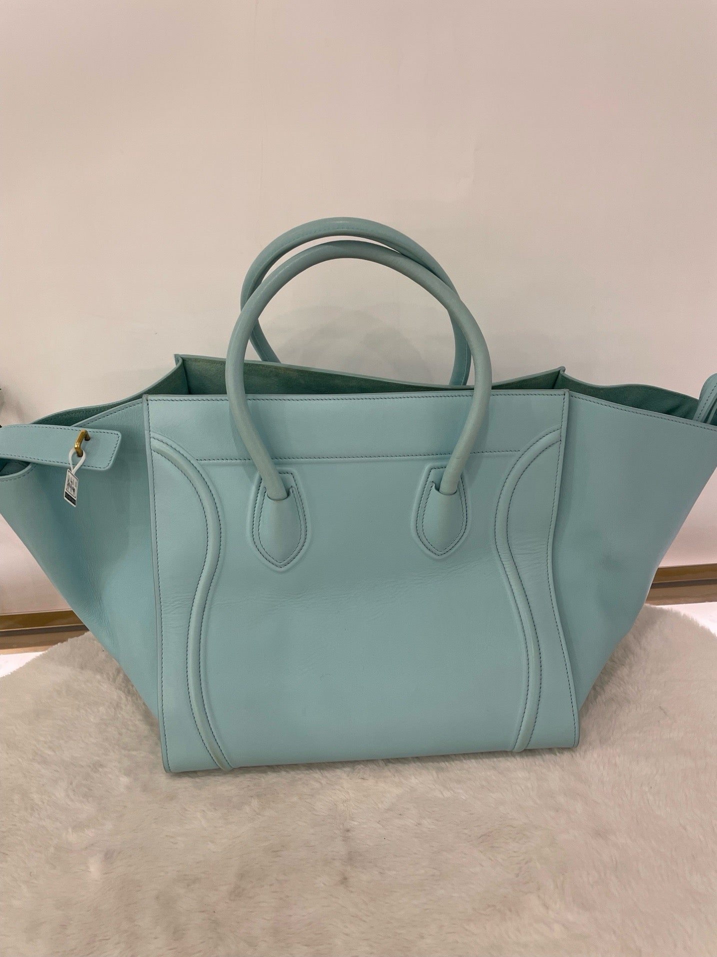 Celine L bag10