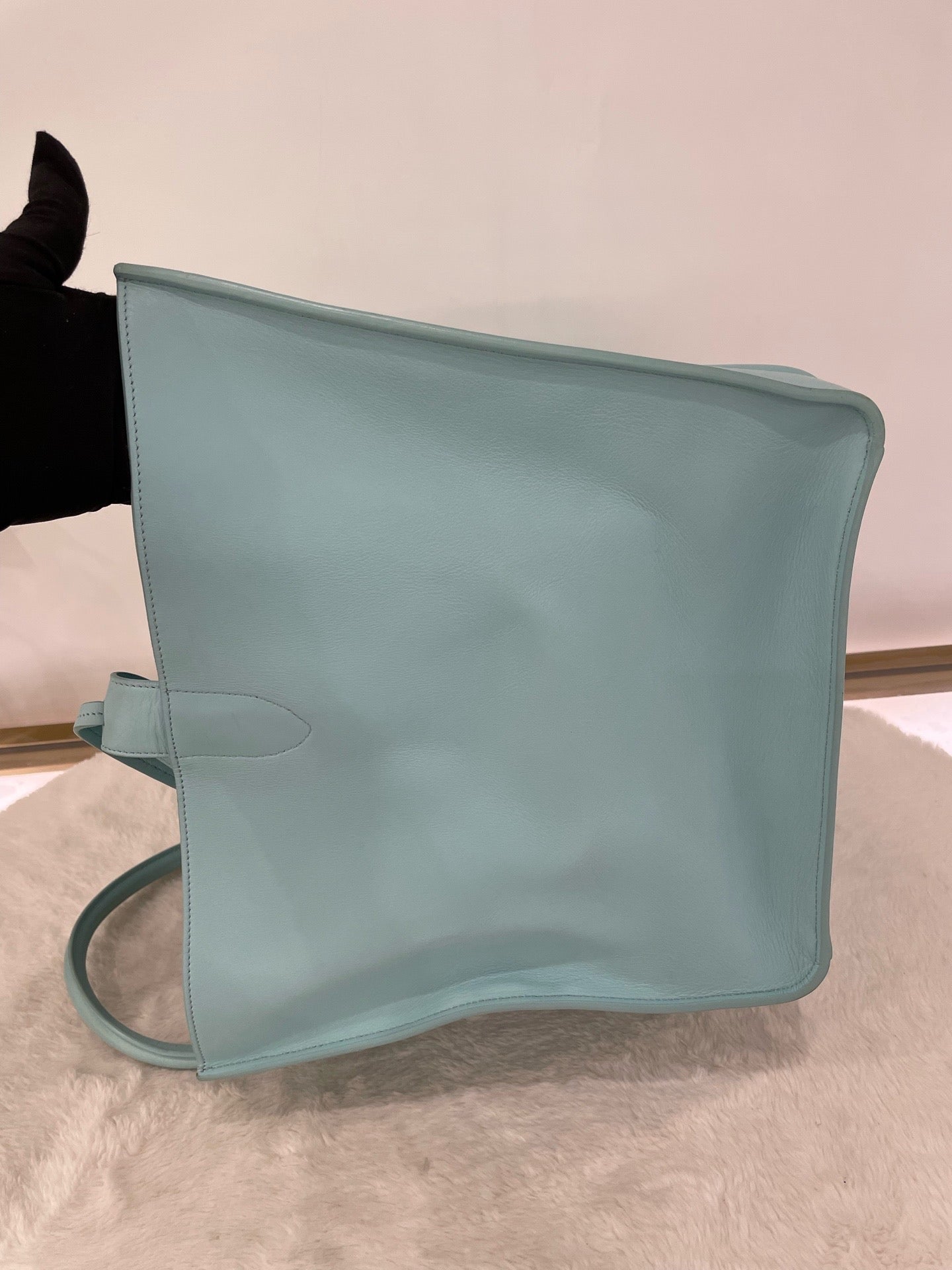 Celine L bag10