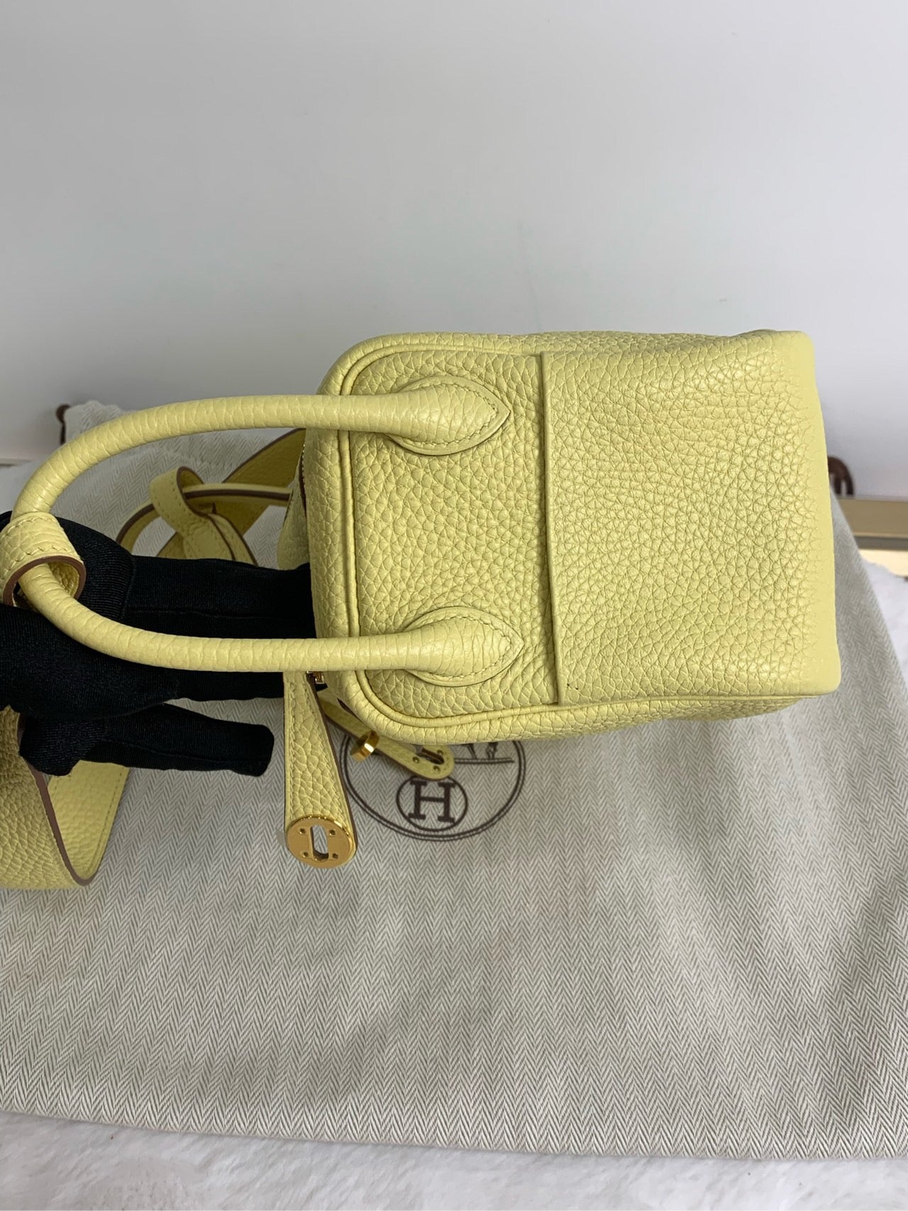 Preloved Lindy Mini 1Z 2021
