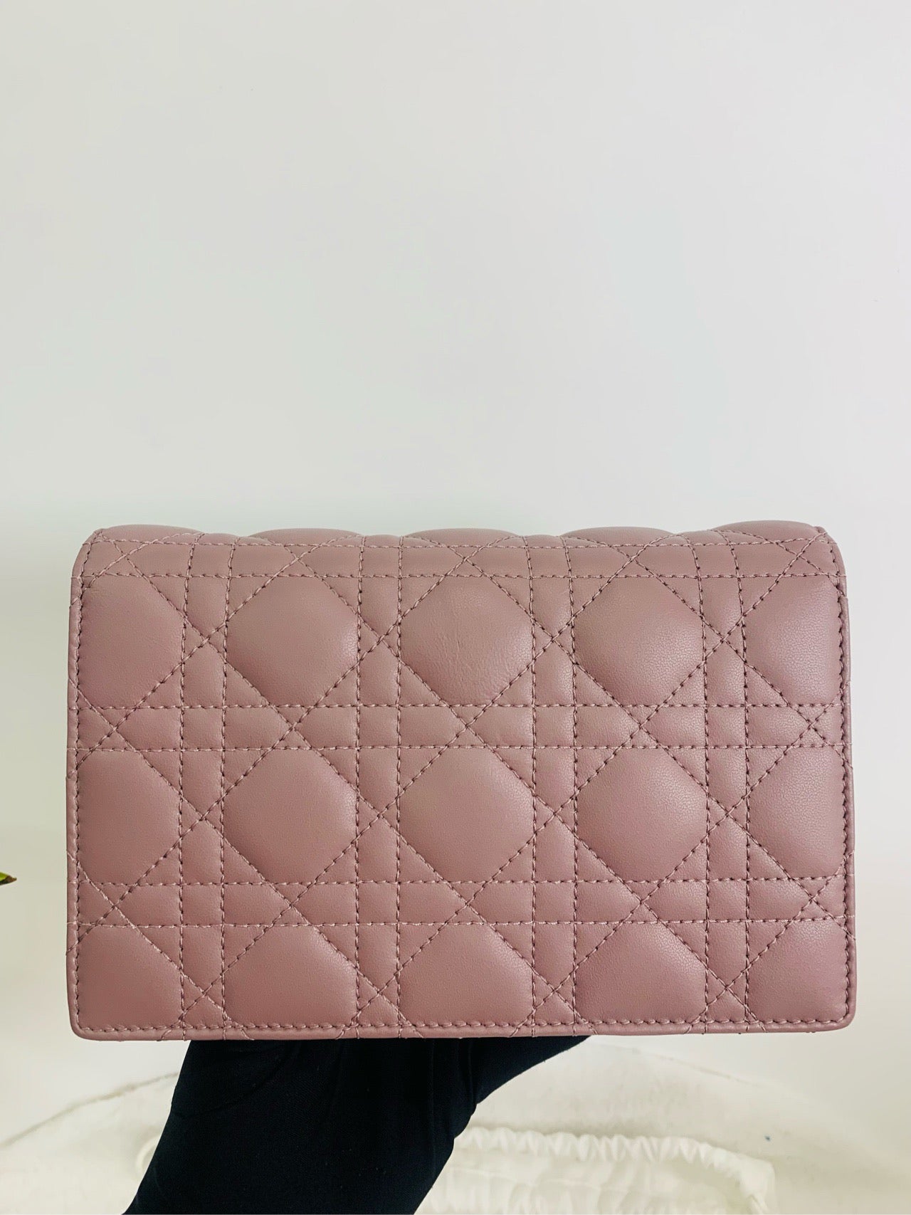 Brand new Dior woc
