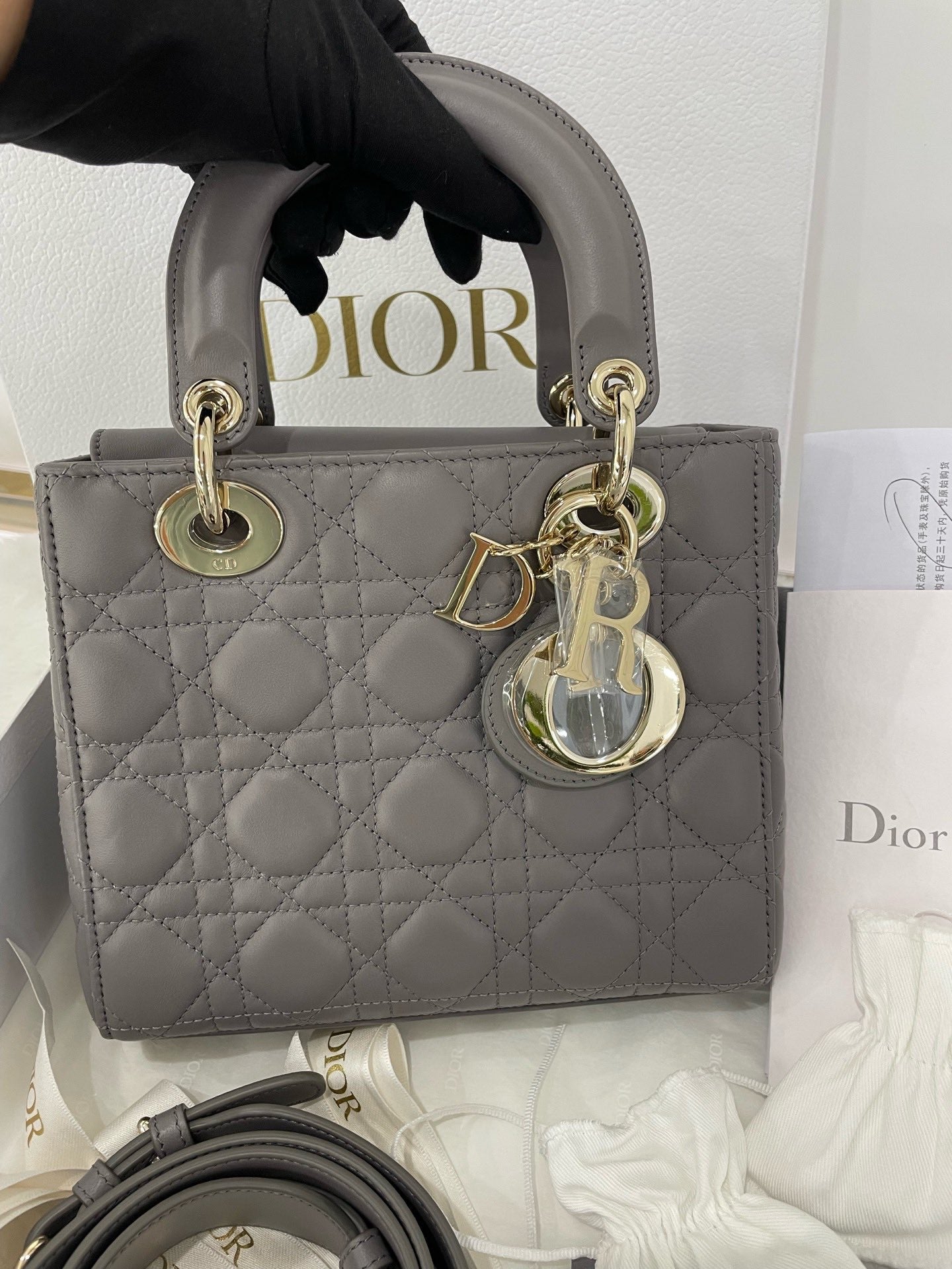 Dior4