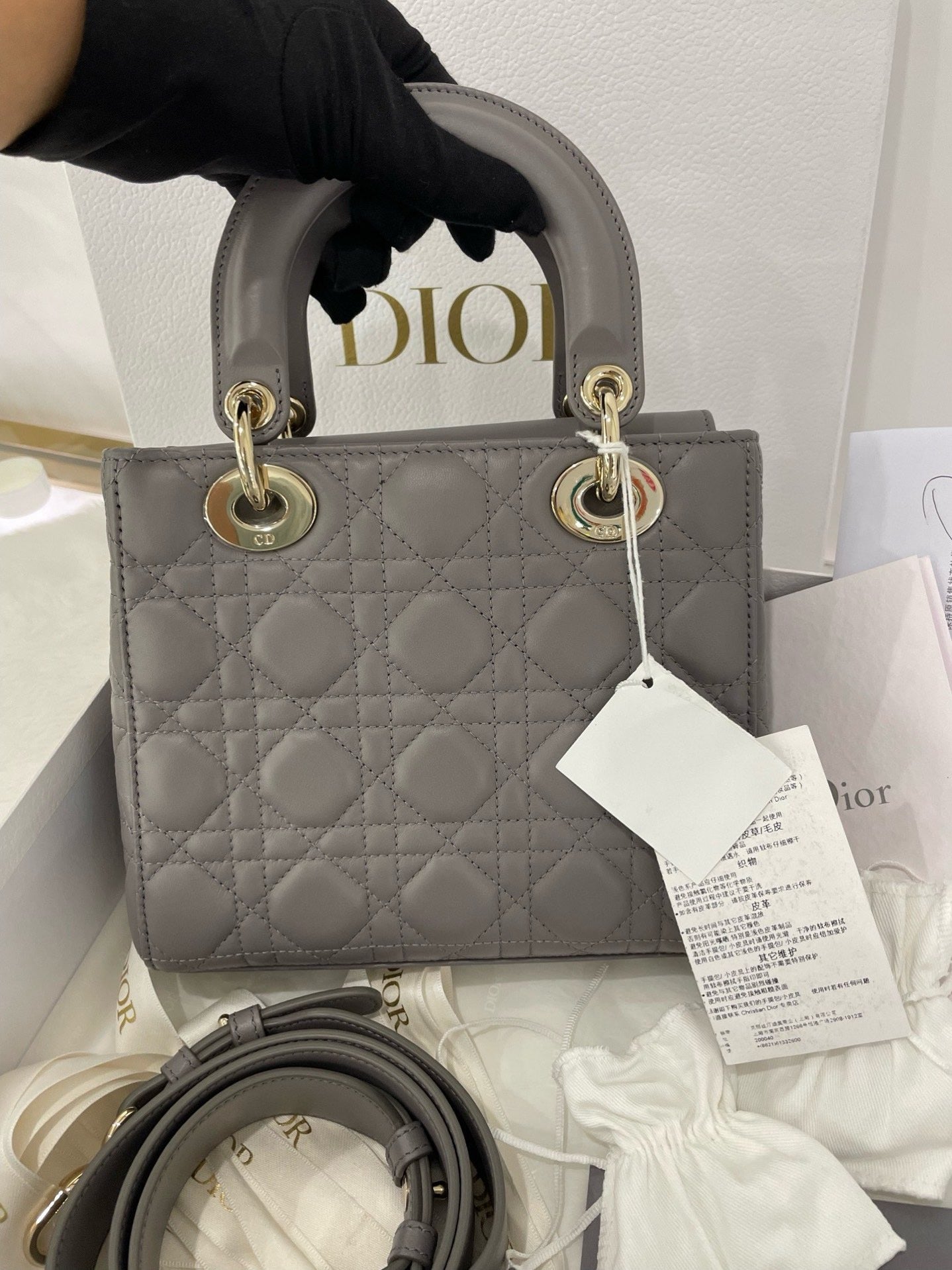 Dior4